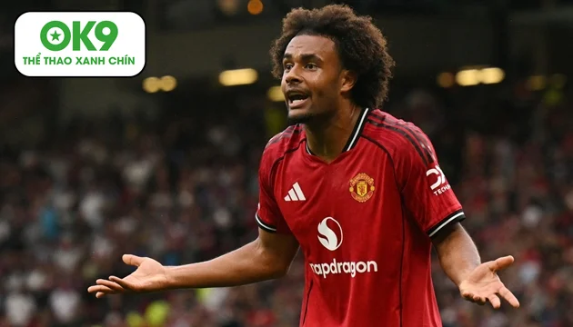 hy vong roi man united cua zirkzee tan vo vi chan